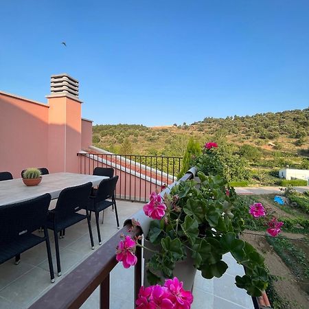Apartamentos La Flor San Martín de Moncayo エクステリア 写真