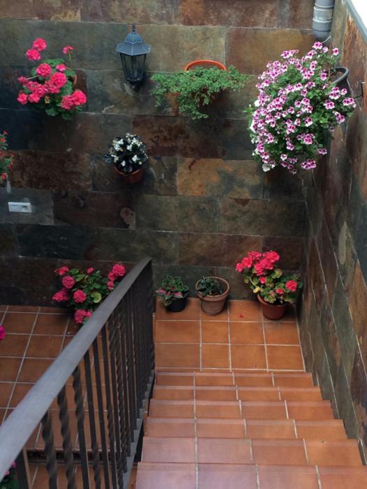 Apartamentos La Flor San Martín de Moncayo エクステリア 写真