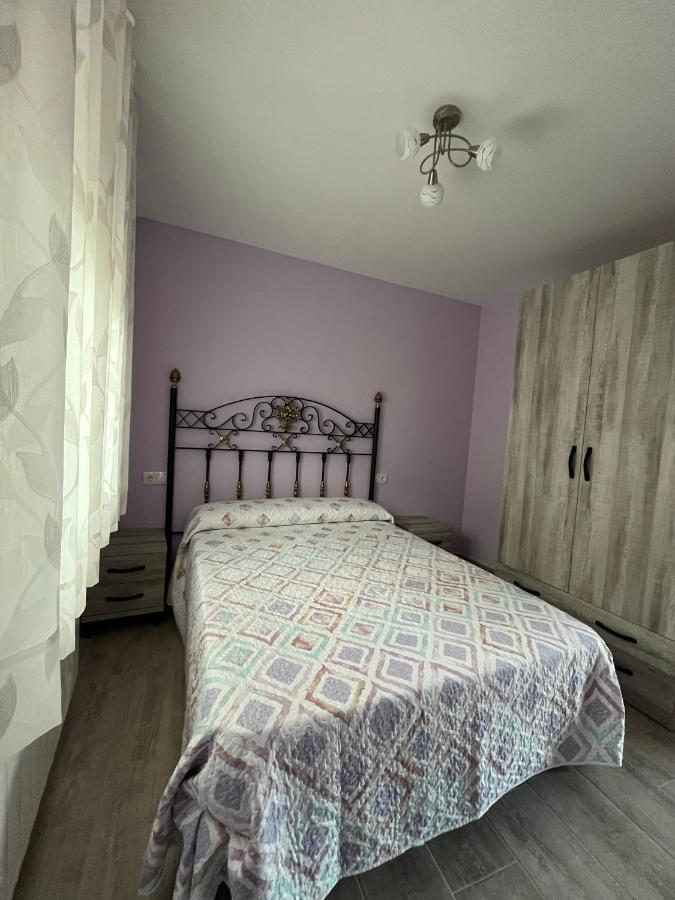 Apartamentos La Flor San Martín de Moncayo エクステリア 写真