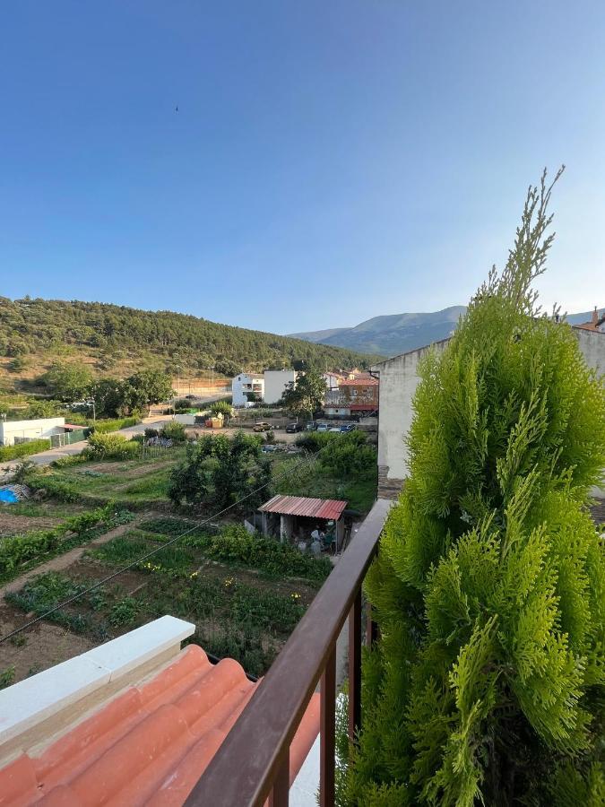 Apartamentos La Flor San Martín de Moncayo エクステリア 写真